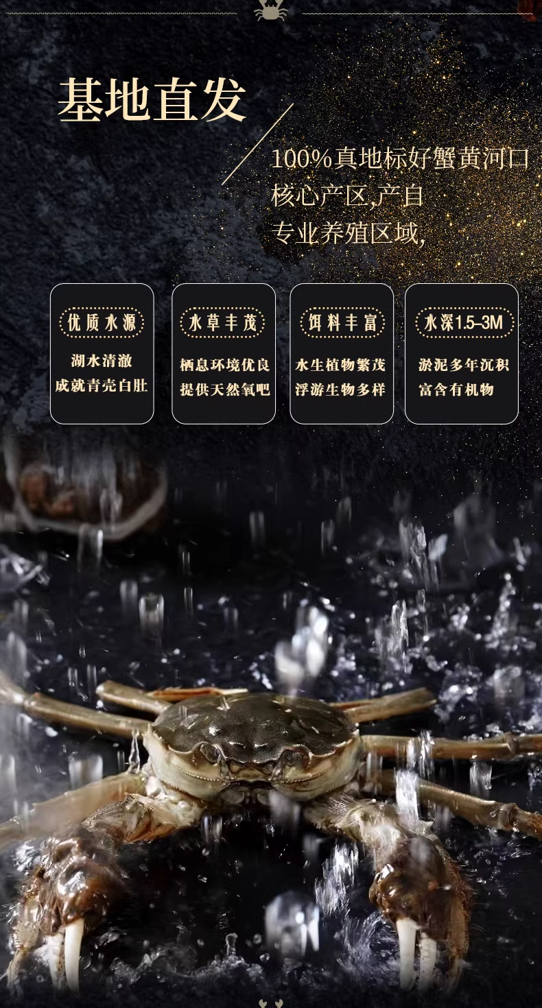 79db1220-09c3-4645-bc93-fa776de78106.png